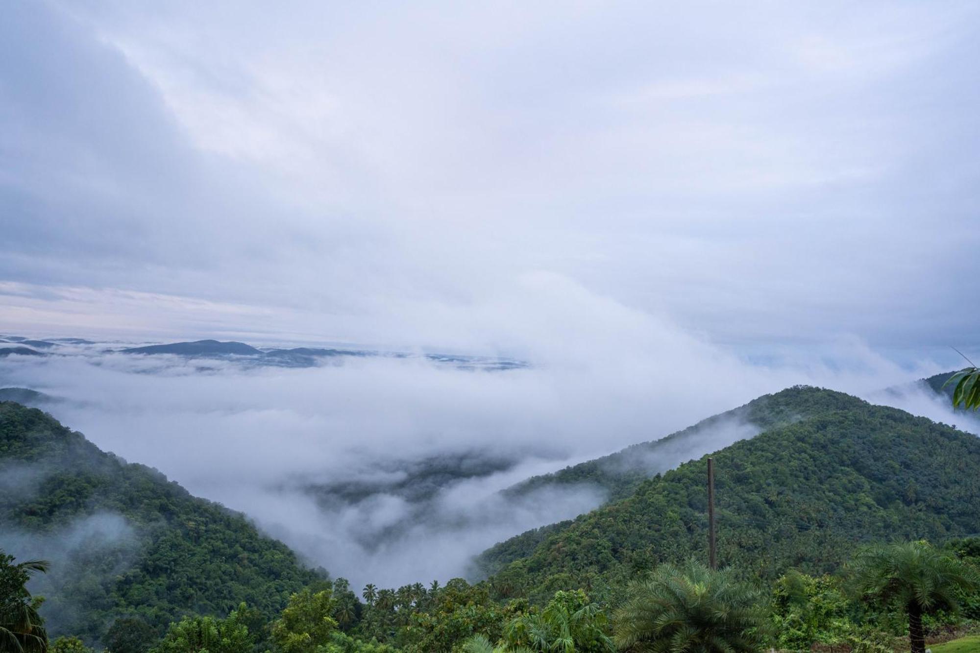 Mount Stratus Resort Vayalada Balussery Exterior foto
